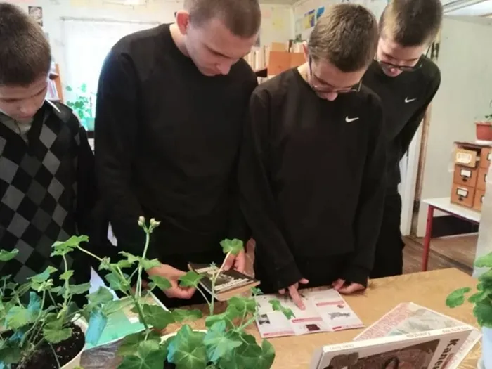 l9pzne1Qb2K7s-EBkP888maI5xWv5Pg7vxoyfsTaJV9lRoDyz2AyCdkBHIYmVHIU7tJrCDGEy9op5LOdBB53U_AL