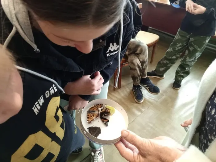 5Qt6l7ZmyRh_lrtfyGKNKMmV3-AHFJ9_NsnM-Zzy6w0Wf5bOW2hw6vmO47lBYKnmpIk2TtwAlkRwjoCaWqta_3Ay