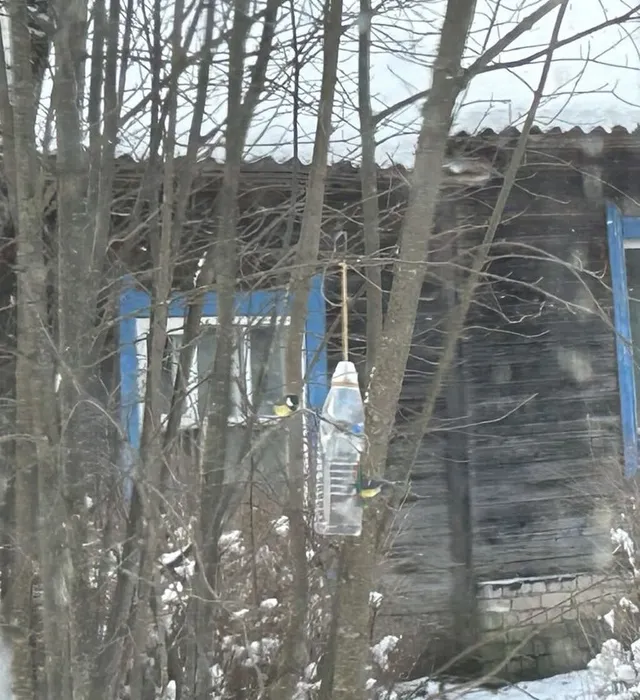 abwVfKVxSJQR_EZJ7rNDVicCvoAFji3uarQ9Tqhii6_RoHAezOzxZzCaWvT544qr2OU49hOZifcPbqWtuFIQ19JX