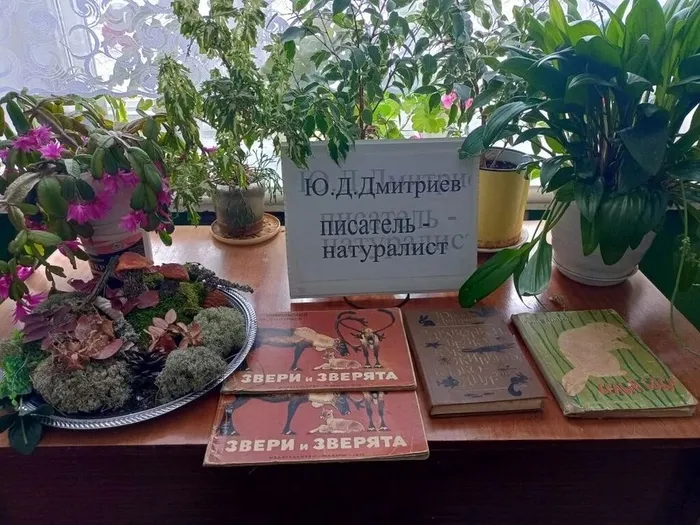 s8_SUT05JyQjKbpYpDDwLbL__GZGR01RtDyJ31jBrwNiRJ1zIy0RFnPCD2dI1GNOo0yZs8KLD_cFl_n-O-ZbAs37