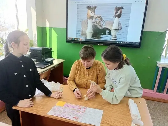 zVxqJoGAB8hMJlDj_HzH3tadvXf62VmvZ2ZSK6g3FpRiqtfh_xrHhq12ONtImDLvOt5yJZDbR9C2A9EAiXmZ5PeB