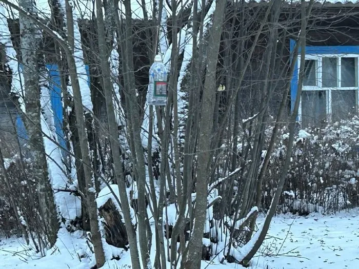 0TBuMF78Po4TSvOUxr1xzBBJdrDQfJ7ncHscXP7NDjxNtnTEutOPhqdHA3xJpFOD4QjaANr9rkxDKN3-Vfj6CAKh