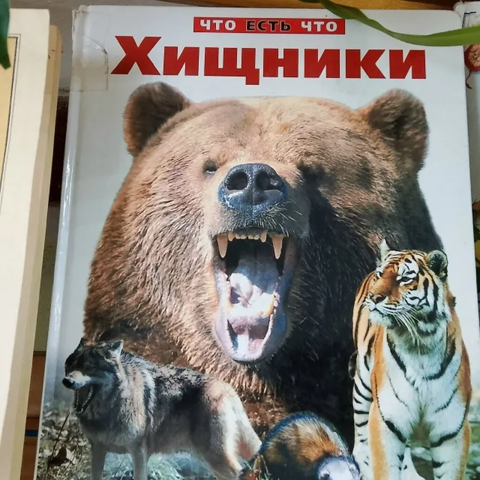 vGB-yp4b55Z5FL6PyhOjWRo8xwCnUHqmXU_uePqWCpZaXJ0qJwLkOA32XdP-b1JznUoBGZG6UFXYgsHlH29RXbTK