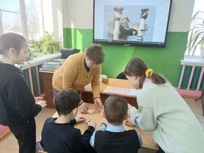 Mmz5ropZE1ltZmHUrs3gOCCj9GheDNXgznTlZSWIYM-pR1BqvKylJdDZY44RHlJGQ6P5IWId1zur44_PZo1J9Uoq