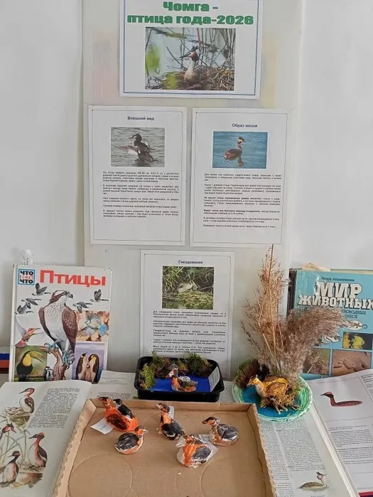 9Wiyy_xqEgnOmiq3HXkQUC8TpulO2KmkAw6vmaC70vB19774GXuJfqpD8O9aKOWxf45Xd1h4wWXL6bH0zeyXzPON