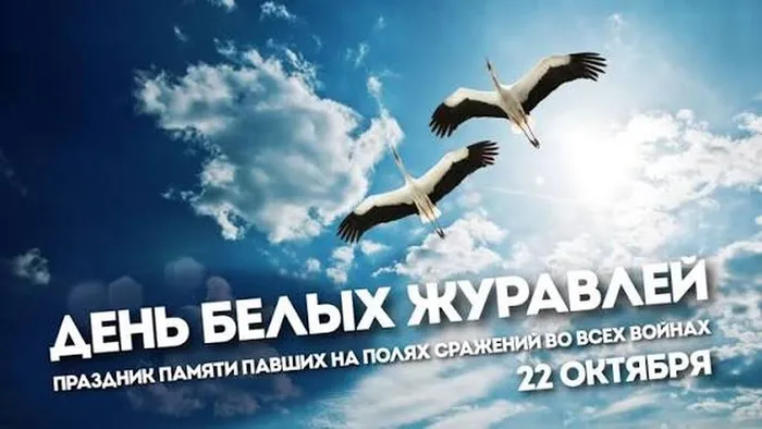 images (6)
